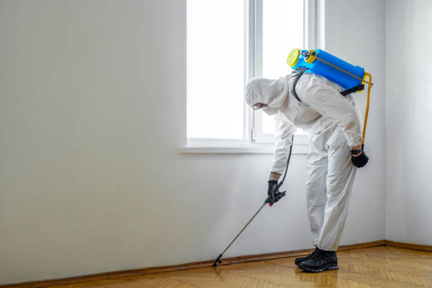 Best Pest Exclusion Services  in Fredericktown, MO